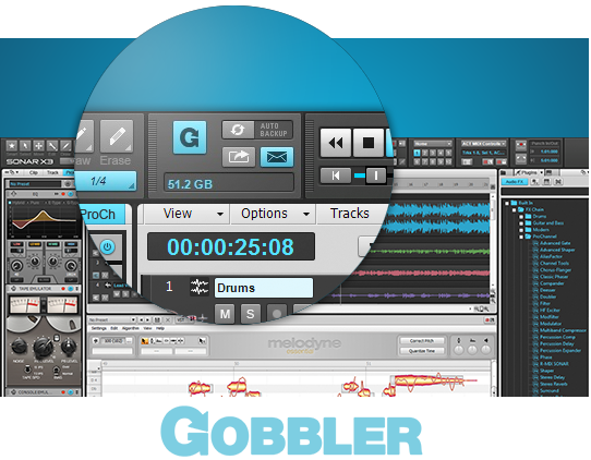 Gobbler-Cloud-Save